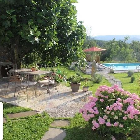 Villa Mavrici, Neighbors Free Buzet Bagian luar foto