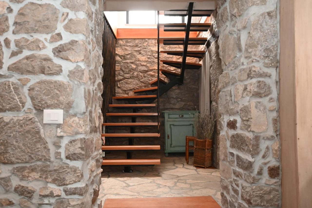 Villa Mavrici, Neighbors Free Buzet Bagian luar foto