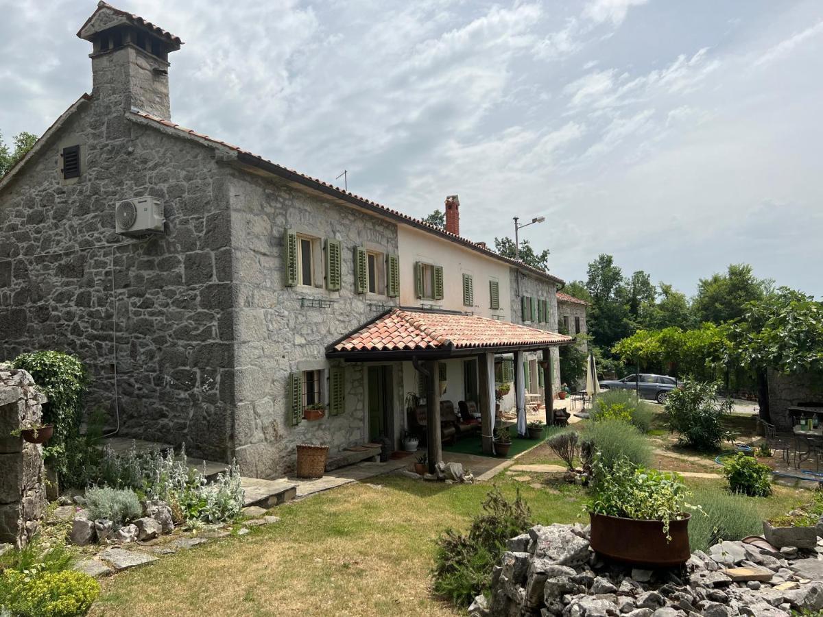 Villa Mavrici, Neighbors Free Buzet Bagian luar foto
