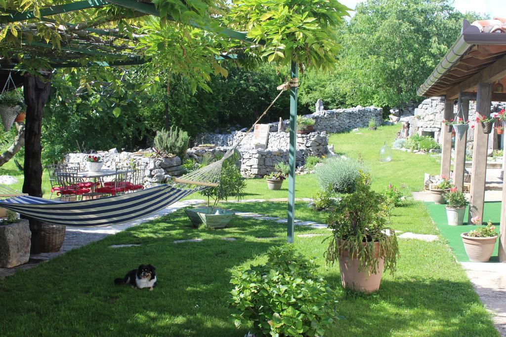 Villa Mavrici, Neighbors Free Buzet Bagian luar foto