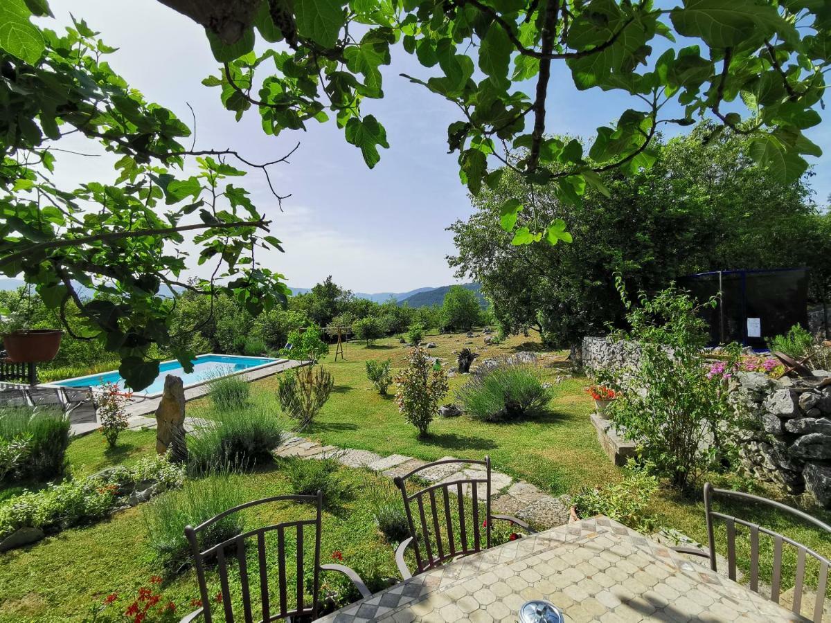 Villa Mavrici, Neighbors Free Buzet Bagian luar foto