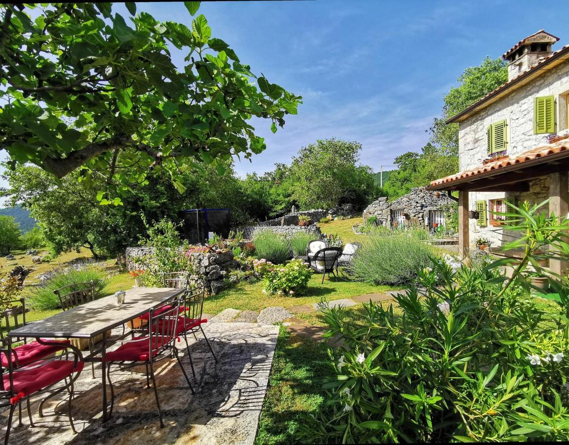 Villa Mavrici, Neighbors Free Buzet Bagian luar foto